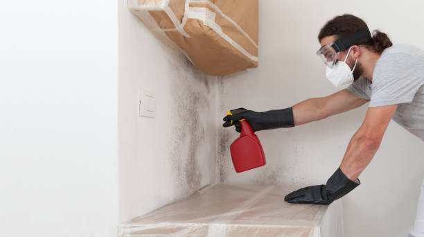 Professional Bathroom Mold Removal technician working in Lilly, PA